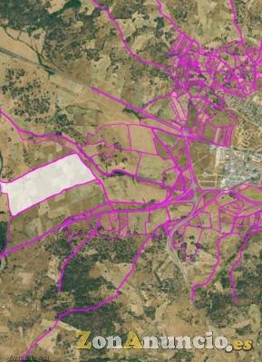 ¡¡¡Oportunidad!!!  Se venden tres fincas